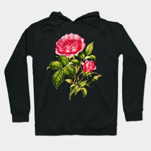 Vintage Pink Roses with Branches and Rose Buds Hoodie